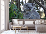 Фотообои Коала - 3
