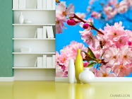 Фотошпалери Суцвіття шипшини - 3