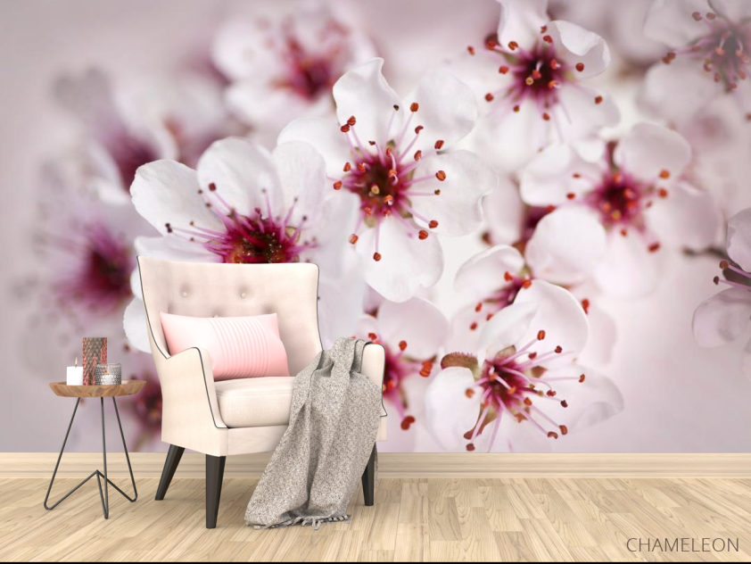 Фотообои цвет вишни - 4