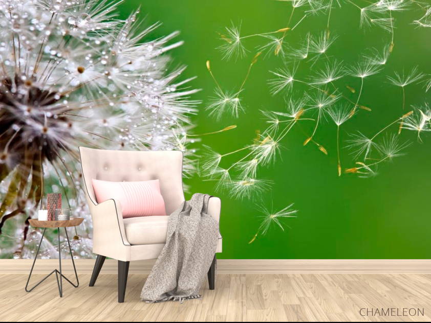 Фотообои Одуванчик летит - 4