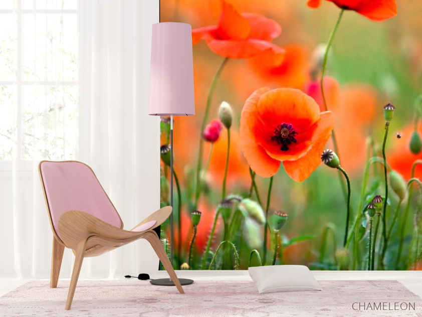 Фотошпалери Поле і маки - 4