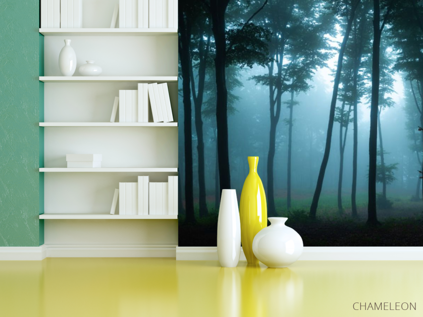 Фотошпалери ліс, туман - 3