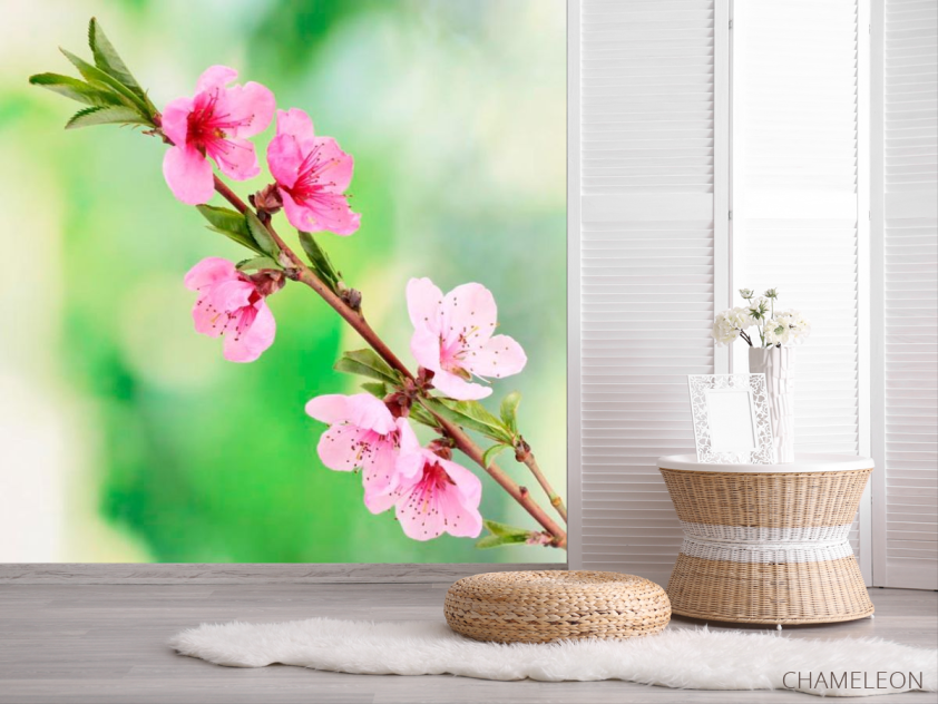 Фотошпалери Розпустилися квіти навесні - 2