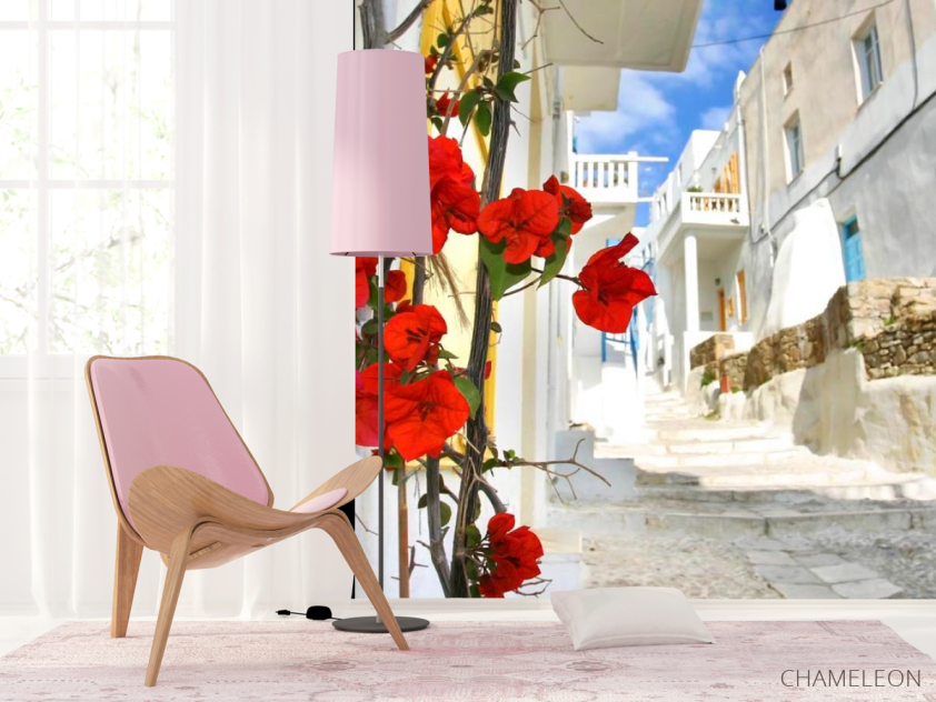 Фотошпалери Вуличка у Греції - 4