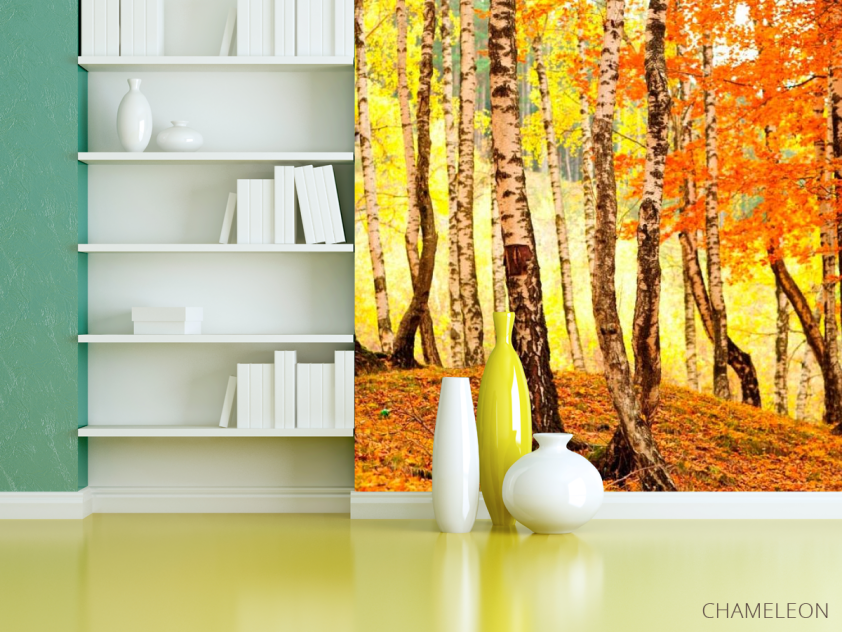 Фотошпалери Березовий шепіт - 3