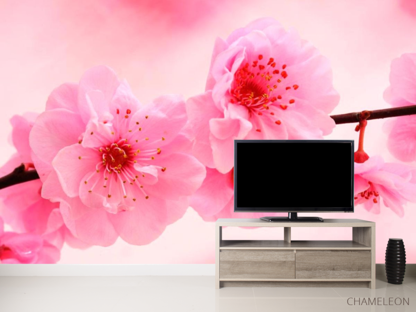 Фотообои Распустилась вишня - 2