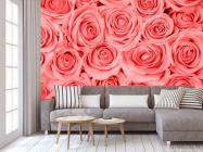 Фотообои Кремово-розовые розы - 3