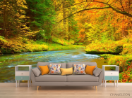 Фотообои яркий осенний лес - 1