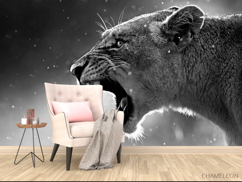 Фотообои дикая кошка - 4