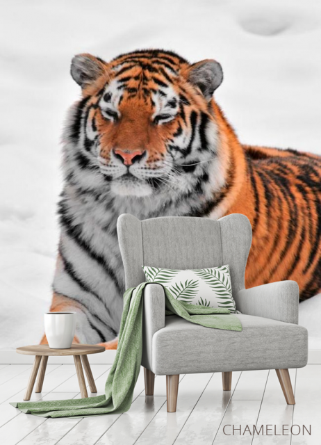 Фотообои Тигр в снегу - 3