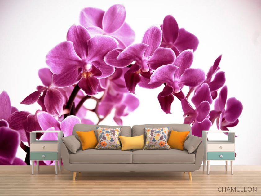 Фотообои Орхидея - 1