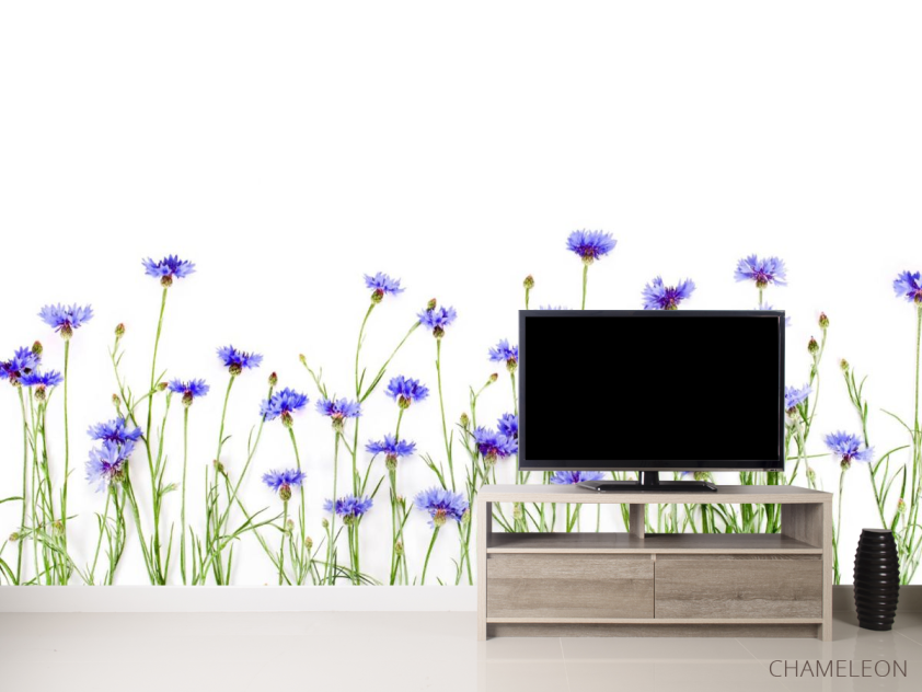 Фотообои Волошки синие - 2