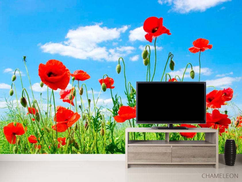 Фотообои Маки в степи - 2