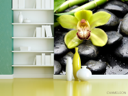 Фотошпалери Зелена орхідея, камені - 3