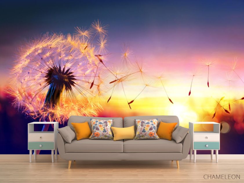 Фотообои одуванчик закат - 1