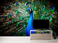 Фотообои Красавец павлин - 2