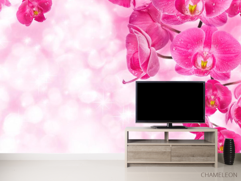 Фотообои Орхидеи розовые и вода - 2