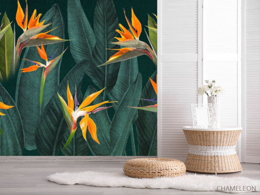 Фотошпалери квіти стреліції - 2