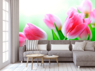 Фотообои Тюльпаны в цвету - 3
