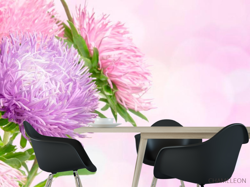 Фотошпалери Два конюшини - 1