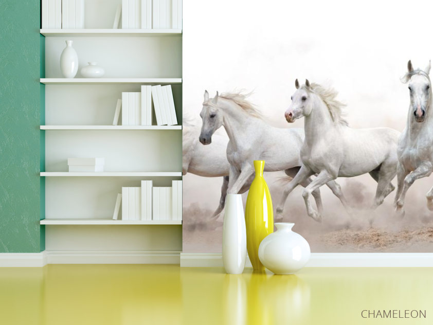Фотошпалери чотири білі коні - 3