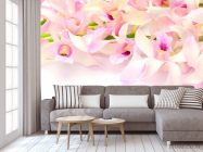 Фотообои Нежно-розовые орхидеи - 3