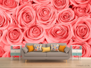 Фотообои Кремово-розовые розы - 1