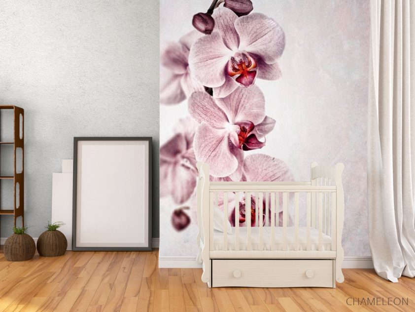 Фотообои Серенькие орхидеи - 2