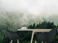 Фотошпалери Вид на туманий ліс - 1