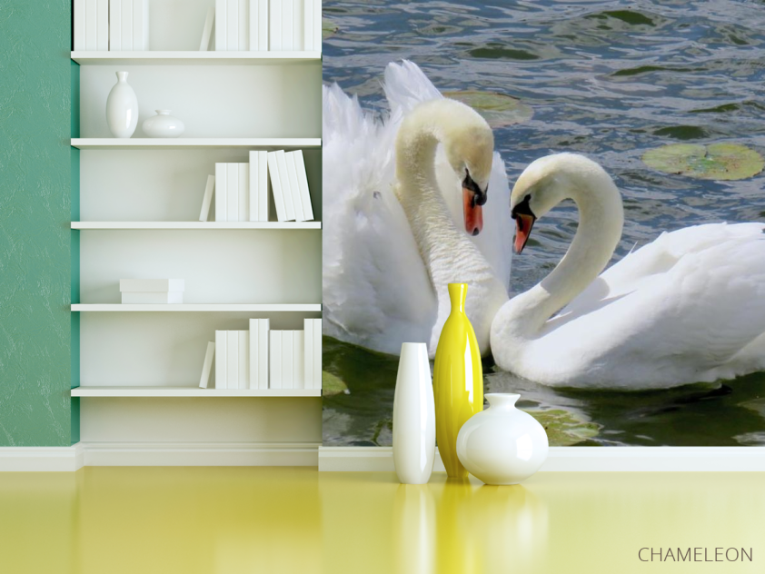 Фотошпалери два лебедя - 3