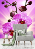Фотообои леопардовая орхидея с сиянием - 3