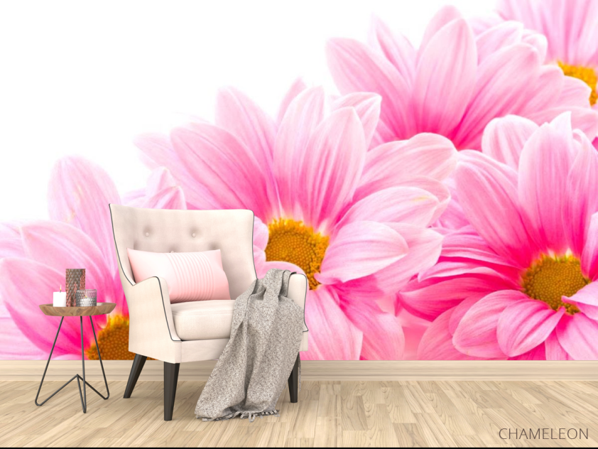 Фотообои Ромашки розовые - 4