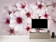 Фотообои цвет вишни - 2