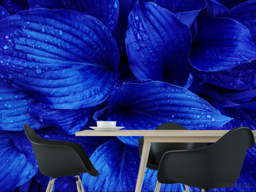 Фотошпалери сині листя - 1