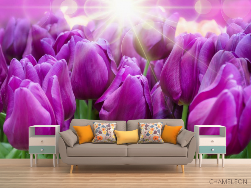 Фотообои фиолетовые тюльпаны - 1