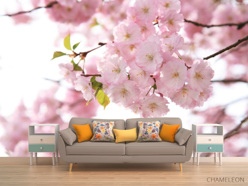 Фотообои Цветы розовой сакуры - 1