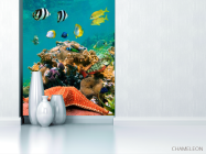 Фотообои Морская звезда на рифе - 1