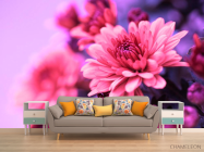 Фотообои Астры розовые - 1