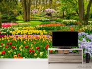 Фотообои разноцветная цветочная поляна - 2