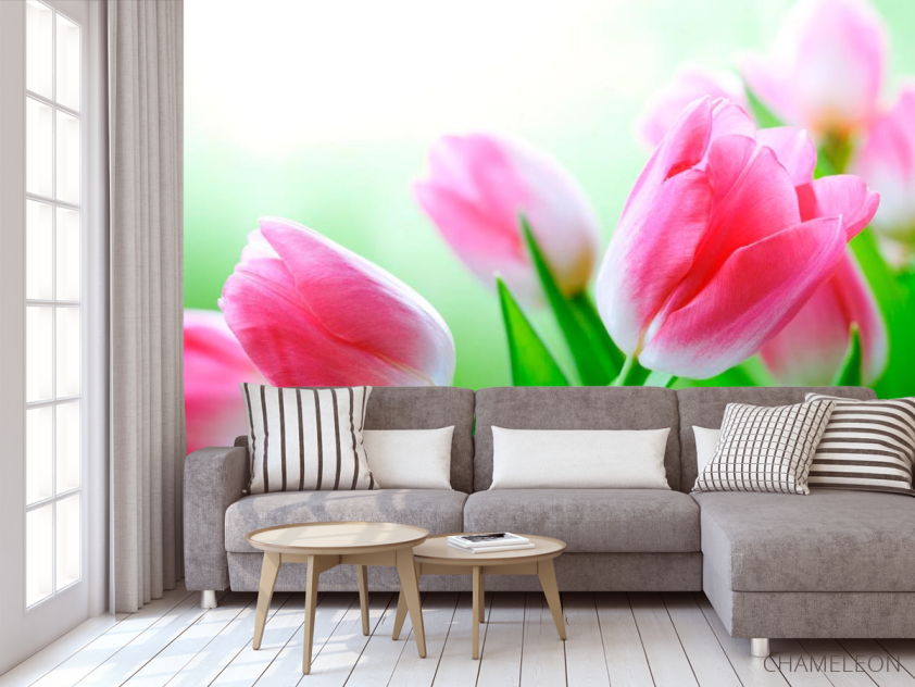 Фотообои Тюльпаны в цвету - 3