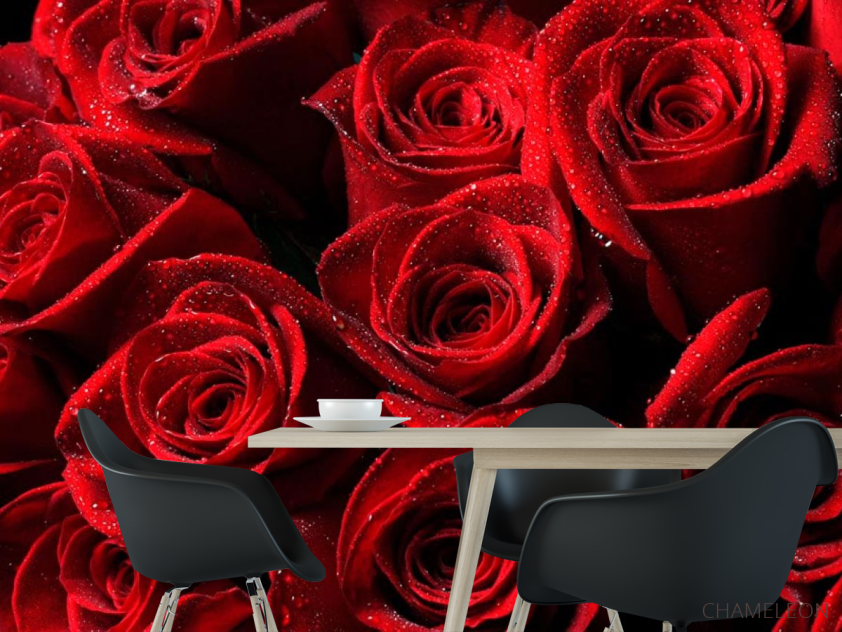 Фотошпалери Букет троянд червоного кольору - 1