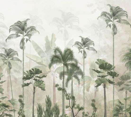 Фотообои Тропические пальмы в тумане. Фотообои Тропические пальмы в тумане. 33893