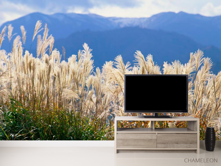 Фотообои Возле болота - 2