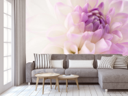 Фотообои бело-сиреневый цветок - 3