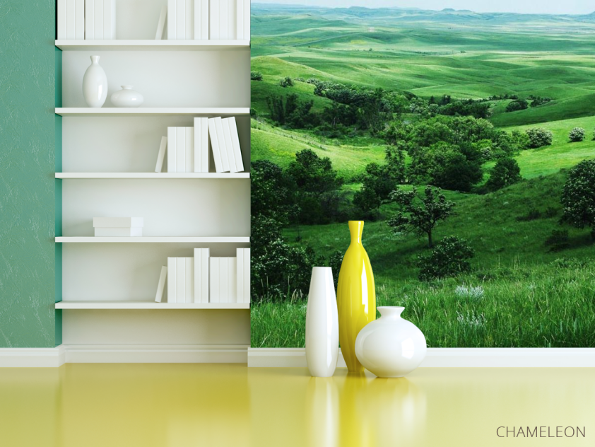 Фотошпалери Нескінченний луг - 3