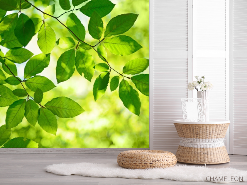 Фотошпалери зелене листя на дереві - 2