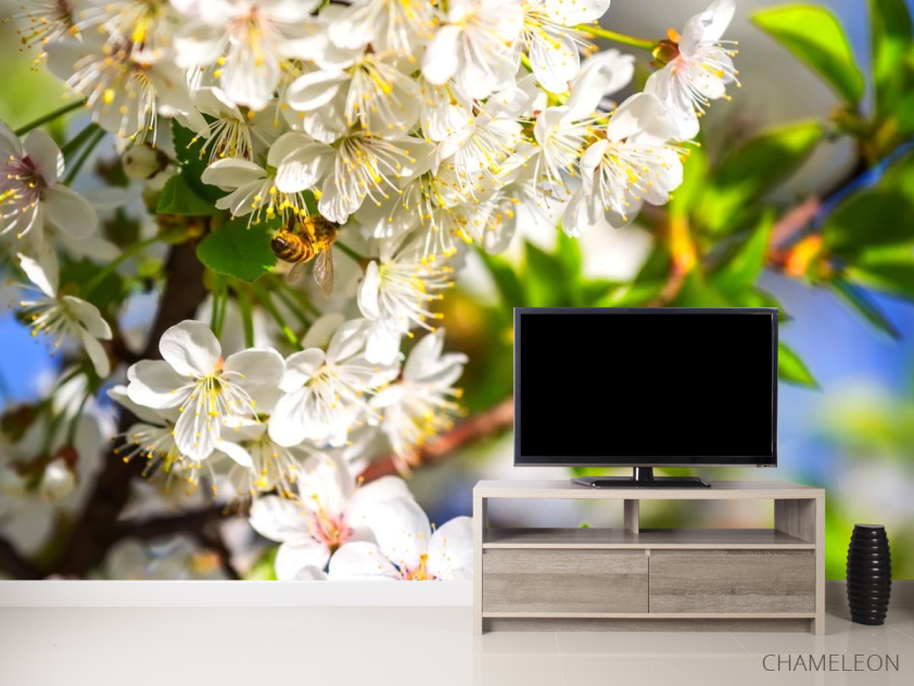 Фотообои пчела на цветочках - 2