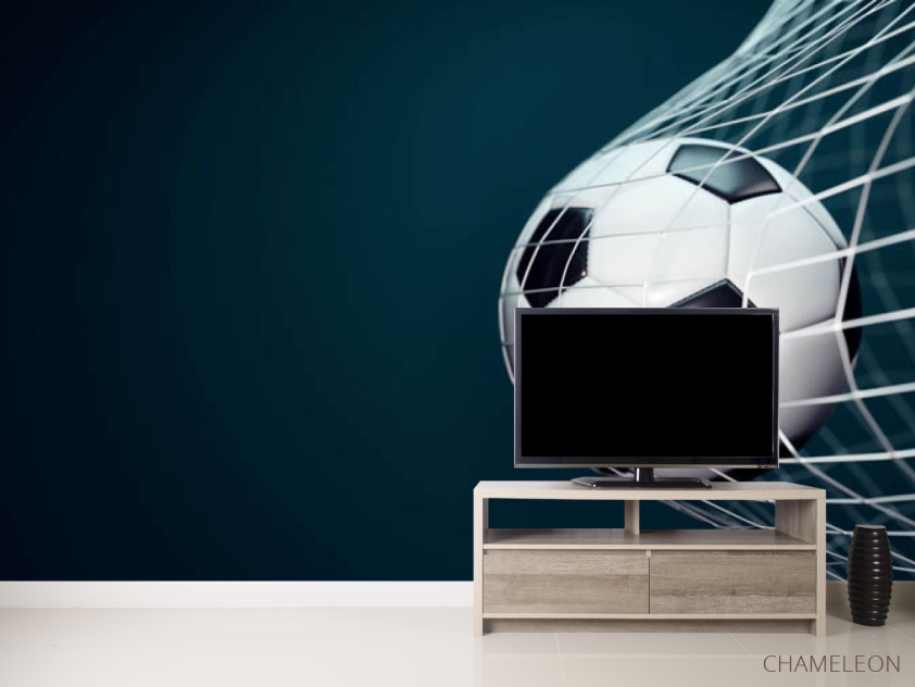 Фотообои Мяч в воротах - 2