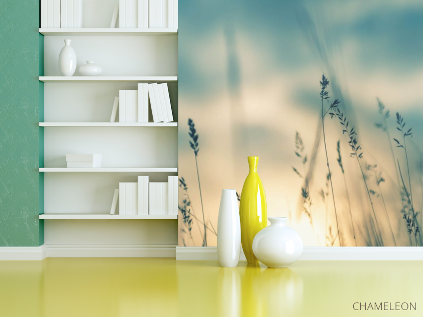 Фотошпалери сухоцвіти на заході сонця - 3