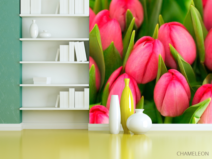 Фотошпалери Рожеві тюльпани - 3